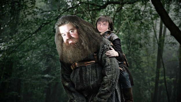 Harry Potter would be Bran Stark, and Rubeus Hagrid would be Hodor.