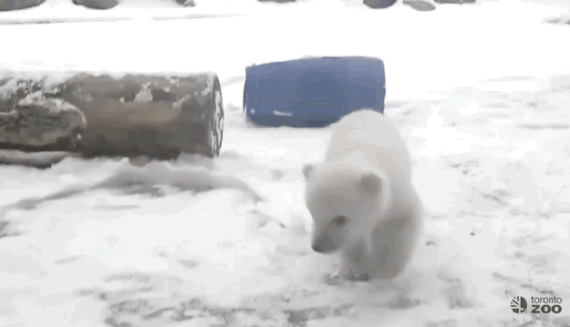 "What is this stuff???"