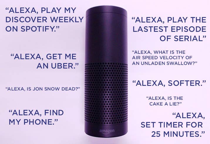 Image result for cat and alexa meme