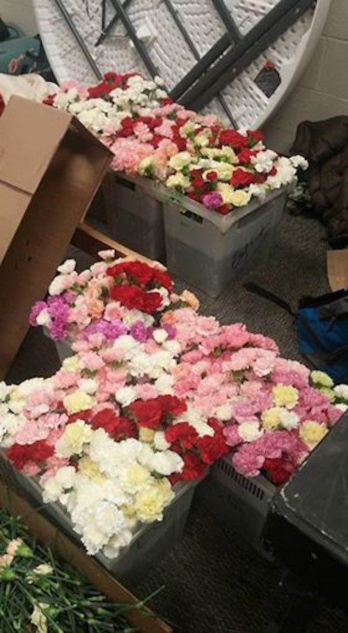 Pendant des années, il a acheté des fleurs à des dizaines d'amies le 14 février, par gentillesse. Mais cette année, il s'est vraiment surpassé. Il a acheté 900 œillets et s'est assuré que toutes les filles de son école avaient reçu une fleur.