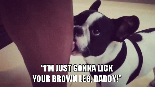 🐶
