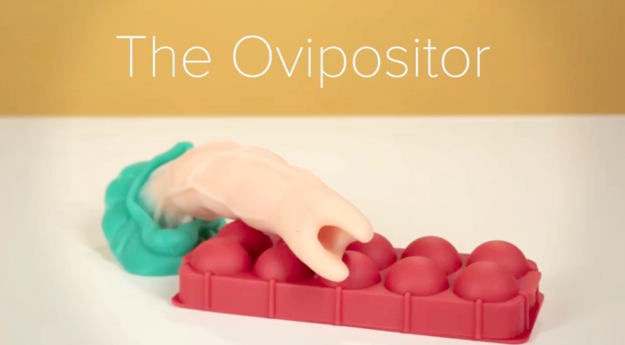First up was The Ovipositor, an alien penis that lays eggs inside of you.