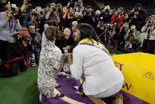 The 3-year-old pup beat more than 2,700 other dogs in the competition.