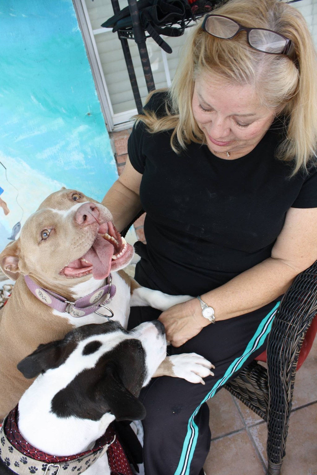 They were rescued from a nonprofit organization, Amazing Grace Bully Rescue in Pensacola, Fla.