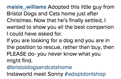 And now she's encouraging other people to adopt, rather than buy, their pets too.