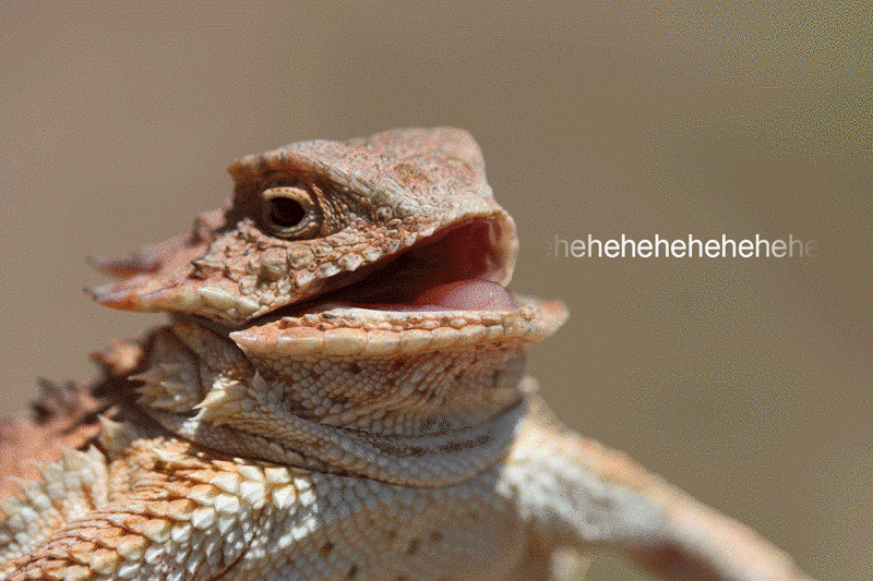 It's OK you only laugh at the immature things. We won't tell.