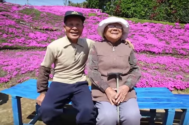 ... Garden Of Flowers For His Blind Wife To Smell - BuzzFeed News