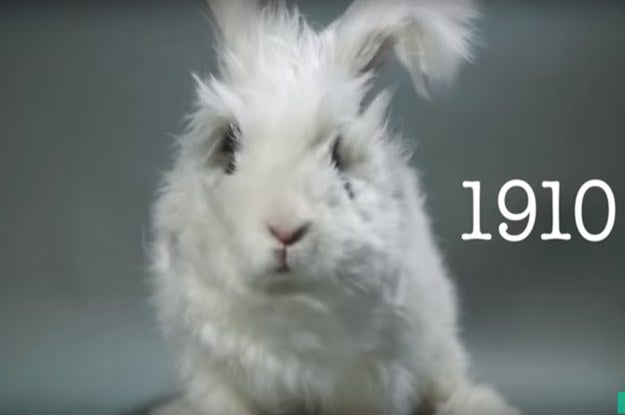 This Is What 100 Years Of Bunny Beauty Looks Like In Less Than 2 Minutes