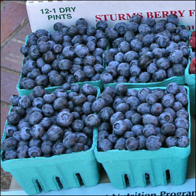 Berries are absolutely sweet and delicious! What's not to like? Instead of chocolate sauce, you can add some fresh berries to your ice cream or yogurt.
