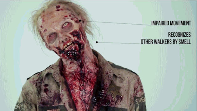 Zombies went full-gore in shows like The Walking Dead, and the walkers were virtually immortal.