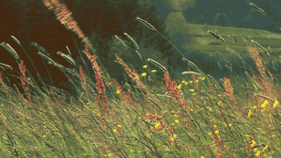 A photo of nature!