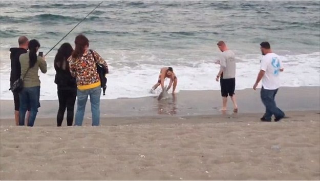 A man has been filmed dragging a shark out of the ocean and taking a photo with it after the animal washed ashore in Florida, a local journalist reported on Saturday.