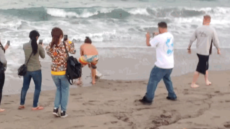 The video was first posted by Ashleigh Walters, a reporter and anchor for WPTV.Just a week before, two baby dolphins were pulled out of the water for people to pet in Argentina. One of them later died.