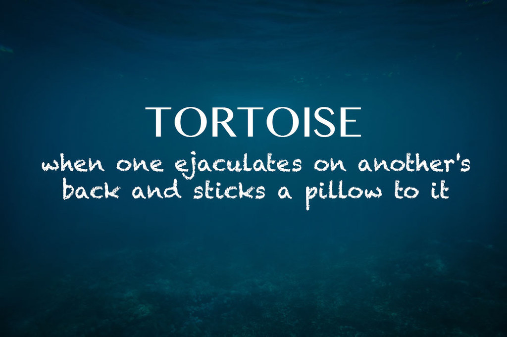 20-times-urban-dictionary-straight-up-ruined-your-favorite-animals