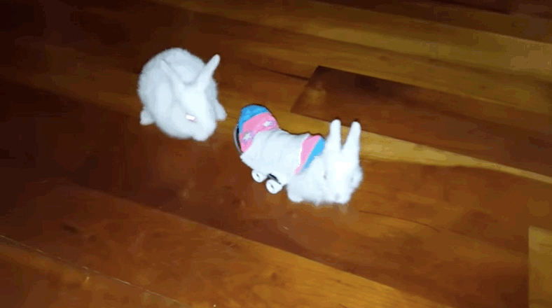 bunny sock wheelchair this paralyzed baby bunny named wheelz has a tiny skateboard wheelchair and it s so bunny sock wheelchair this paralyzed baby bunny named wheelz has a tiny skateboard wheelchair and it s so