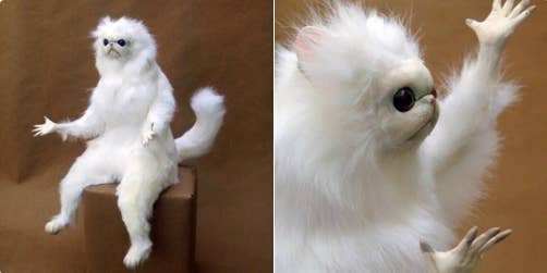 23 Inside Jokes You Ll Only Get If You Can T Sleep