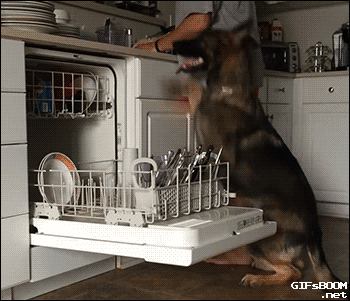 They're pretty much always the person on unloading-the-dishwasher duty.