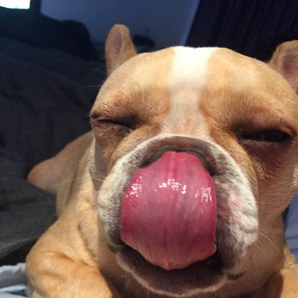 Chrissy Teigen S New Book Accidentally Had Her Phone Number In It