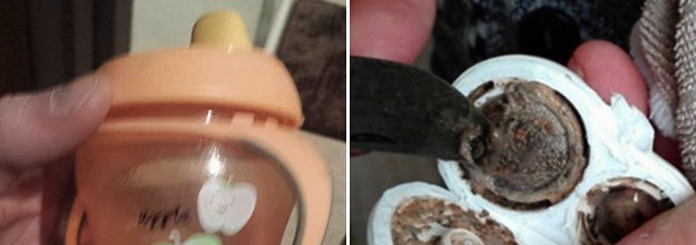 Parents are freaking out over these photos of mould growing inside sippy  cups