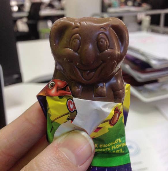 Caramello Koalas
