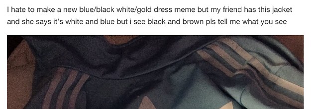 Adidas jacket color sales illusion
