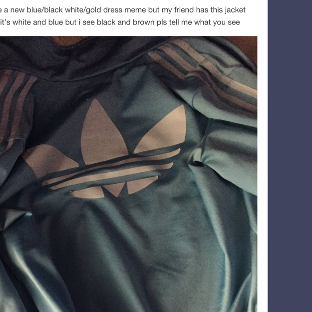 What Color Is This Jacket? What Color Is This Jacket?