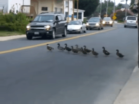 Você tá lá trocando uma ideia e, de repente, como se fosse óbvio, a pessoa começa a dar uma guinada e, quase no meio da rua, fala: “bora atravessar por aqui”.