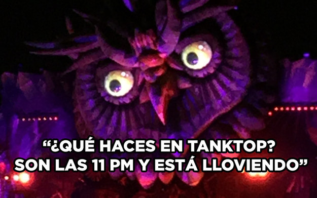 Los memes del EDC 1