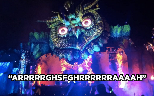 Los memes del EDC 5