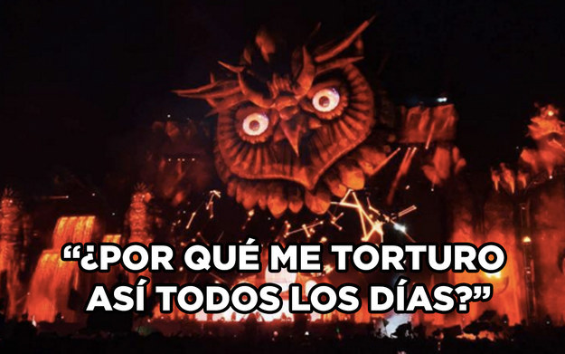 Los memes del EDC 6
