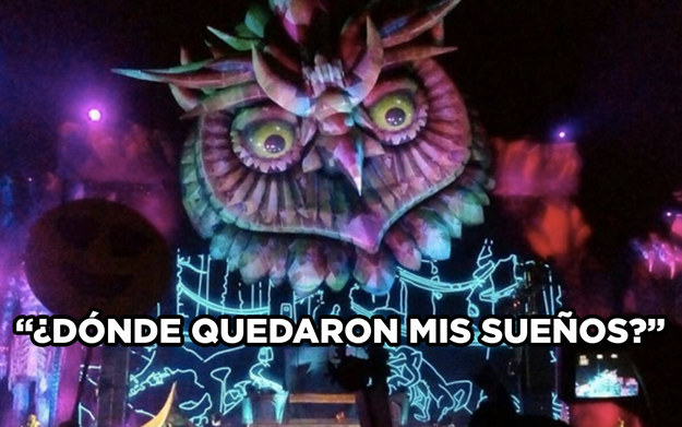 Los memes del EDC 8