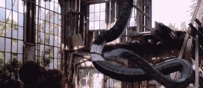 지구 최강의 뱀 아나콘다 | 인스티즈