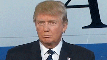 The Donald