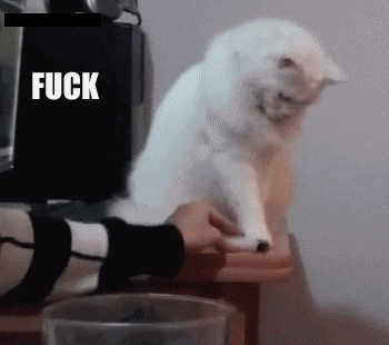 Asshole Cat