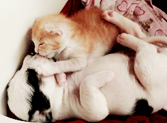 Yup, you've been French kissed!