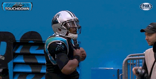 Carolina Panthers