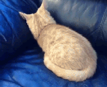 Nope, you've never been French kissed!