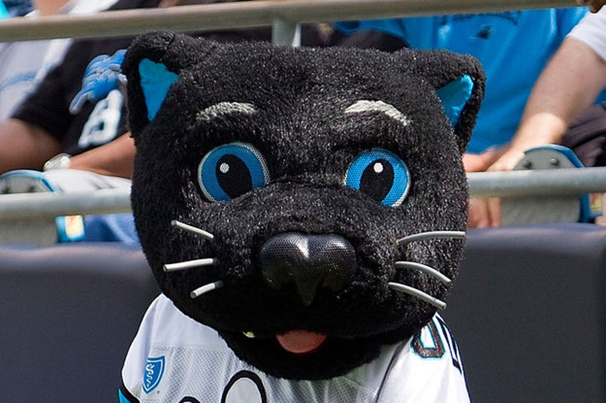 Sir Purr, the Carolina Panthers' mascot leads the Harris YMCA flag