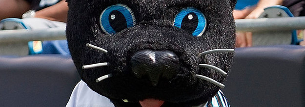 Sir Purr, the Carolina Panthers' mascot leads the Harris YMCA flag