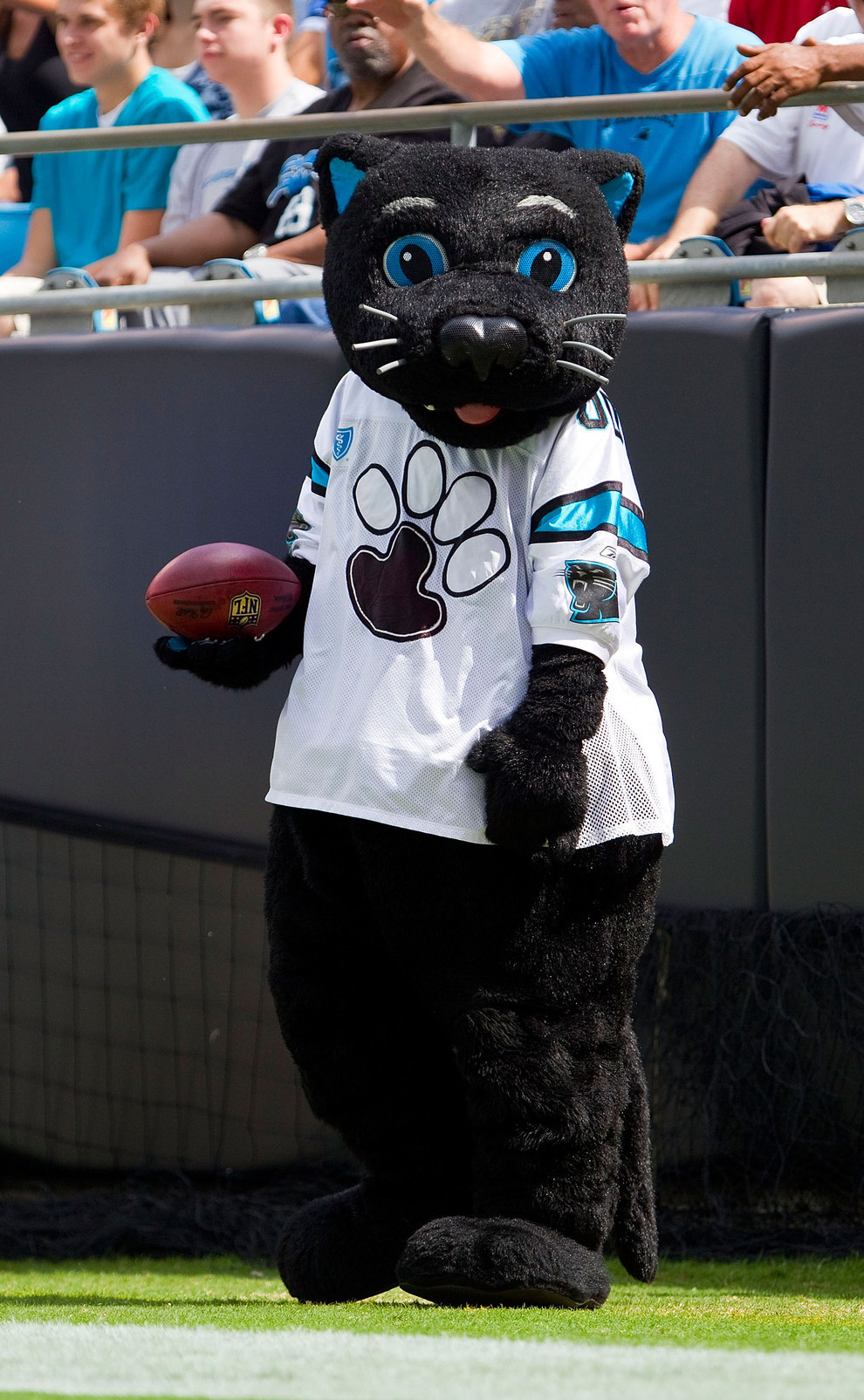 Sir purr, meet miss hiss : r/panthers