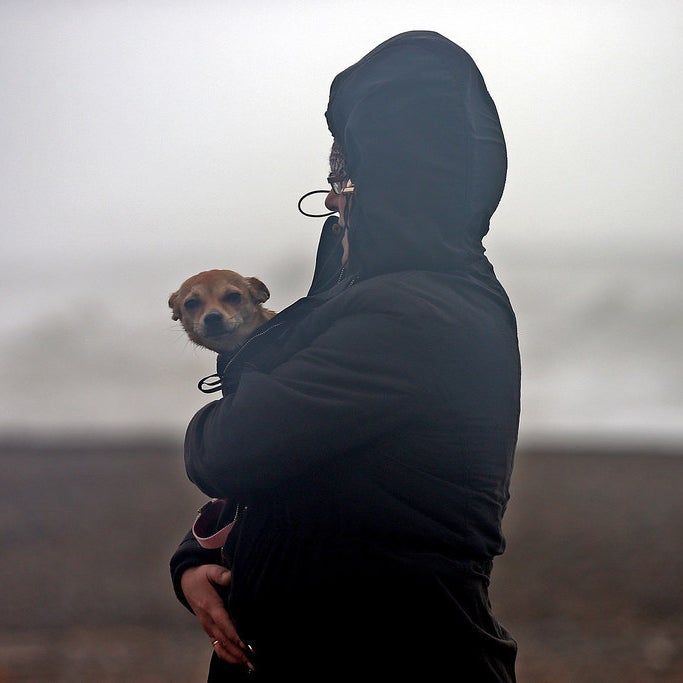 A woman shelters her small dog as she walks along a beach in Newhaven, East Sussex