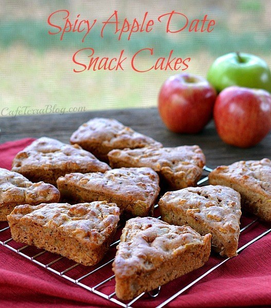 Spicy apple date snack cakes