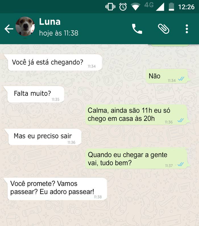 E Se O Seu Cachorro Te Mandasse Mensagens No Whatsapp