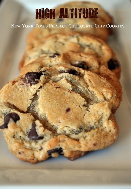 High Altitude New York Times Perfect Chocolate Chip Cookie