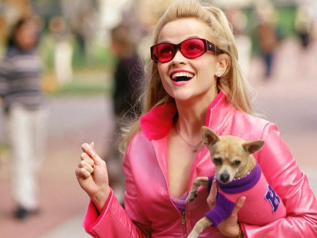 The Chihuahua, whose real name was Moonie, proved a loyal friend to Elle Woods (Reese Witherspoon) as she slayed her way through Harvard Law School.