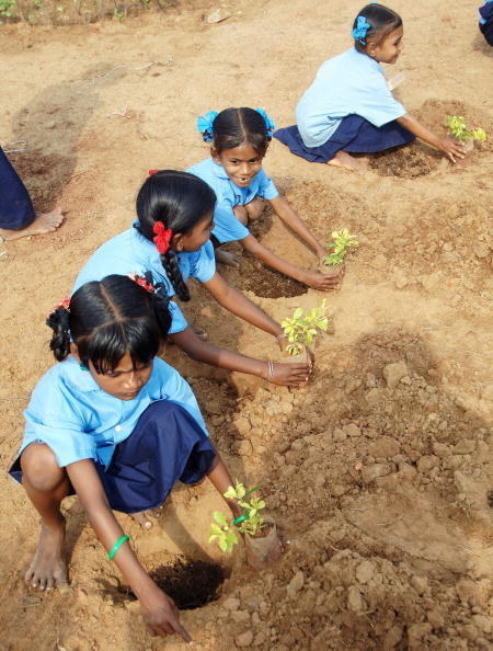 And children orphaned by the tsunami plant trees in their parents' memory.