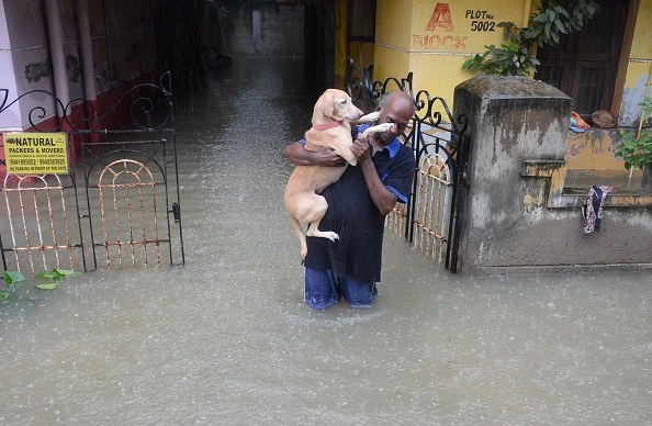 A man rescues his best friend.