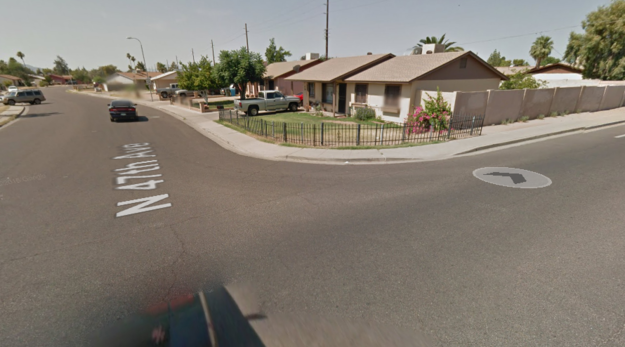 A puppy in Phoenix, Arizona found herself confronted with the law on Wednesday. Lt. Tom Van Dorn was patrolling the Maryvale Estrella Mountain Precinct when he came across a pack of stray dogs blocking a road, according to Phoenix Police.