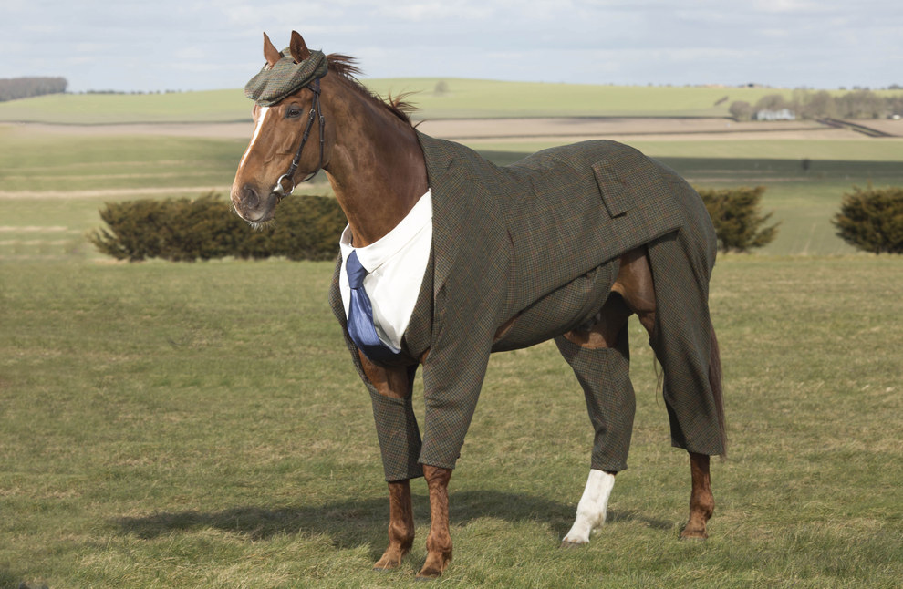 Someone In England Dressed A Racehorse In A ThreePiece Suit BuzzFeed