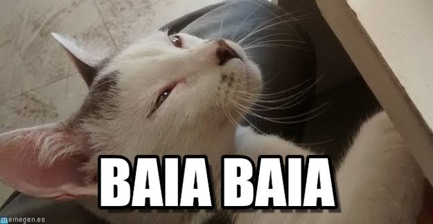 14 Situaciones perfectas para decir “BAIA BAIA” - Imagen 11